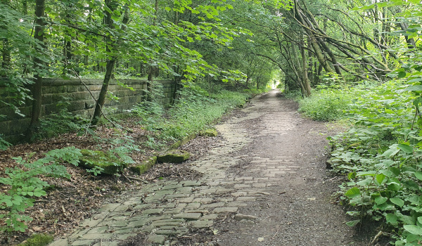 Stone path on woods